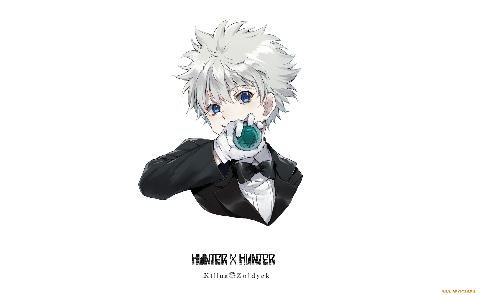 , hunter x hunter, 